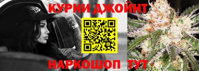 индика Моздок