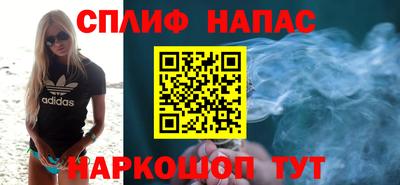 индика Моздок
