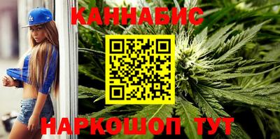 индика Можайск