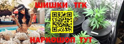 индика Моздок