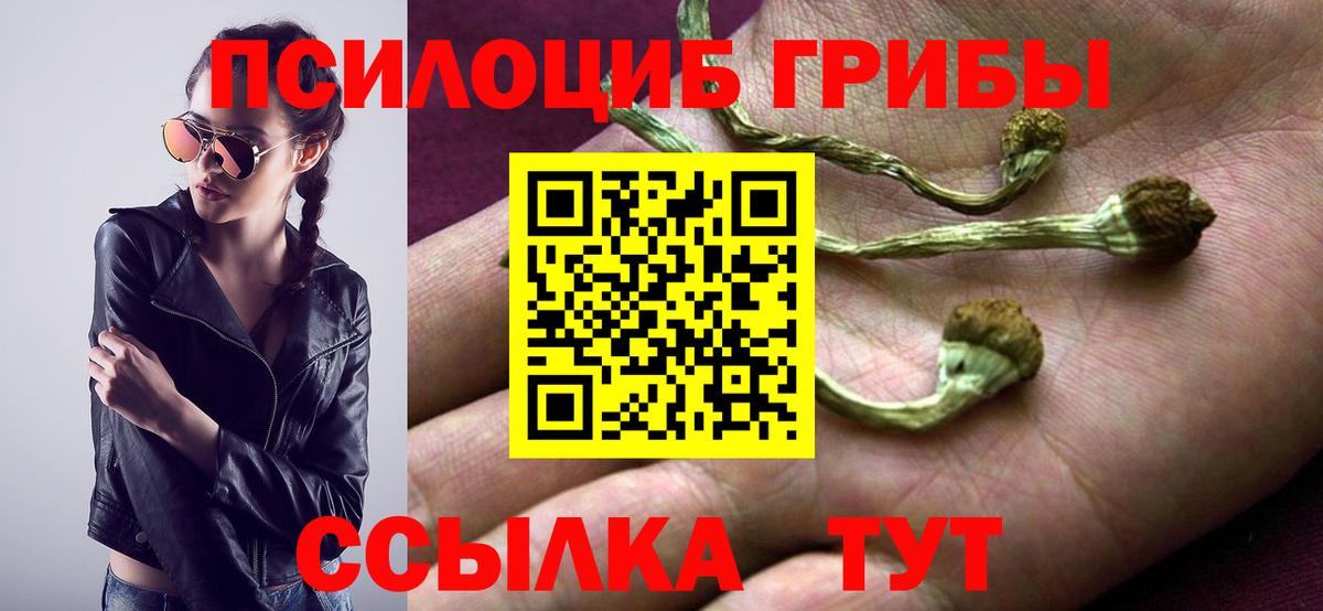 Галлюциногенные грибы мицелий  Вход с VPN  Торжок 